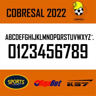 COBRESAL 2022