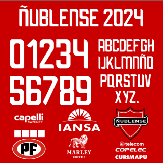 ÑUBLENSE 2024